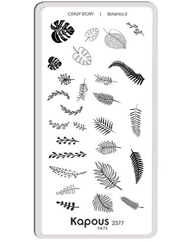 2377 Botanics 2.    Crazy story