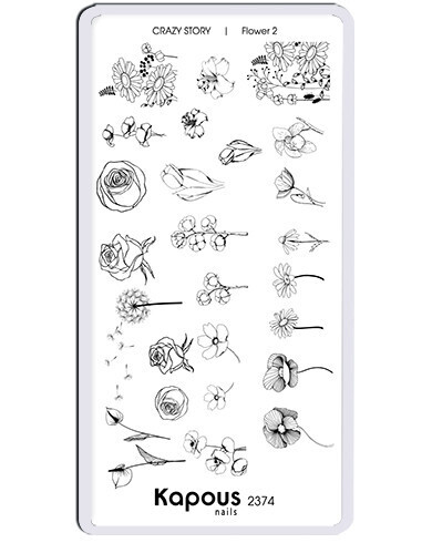 2374 Flower 2.    Crazy story